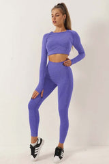 Two-Piece Seamless Premium Fitness Sports Set