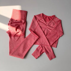 Two-Piece Seamless Premium Fitness Sports Set