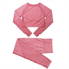 Two-Piece Seamless Premium Fitness Sports Set