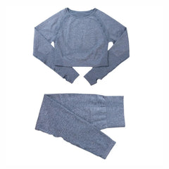 Two-Piece Seamless Premium Fitness Sports Set