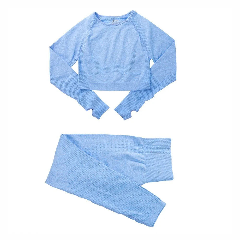 Two-Piece Seamless Premium Fitness Sports Set