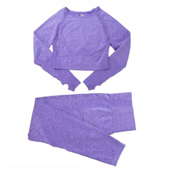 Two-Piece Seamless Premium Fitness Sports Set